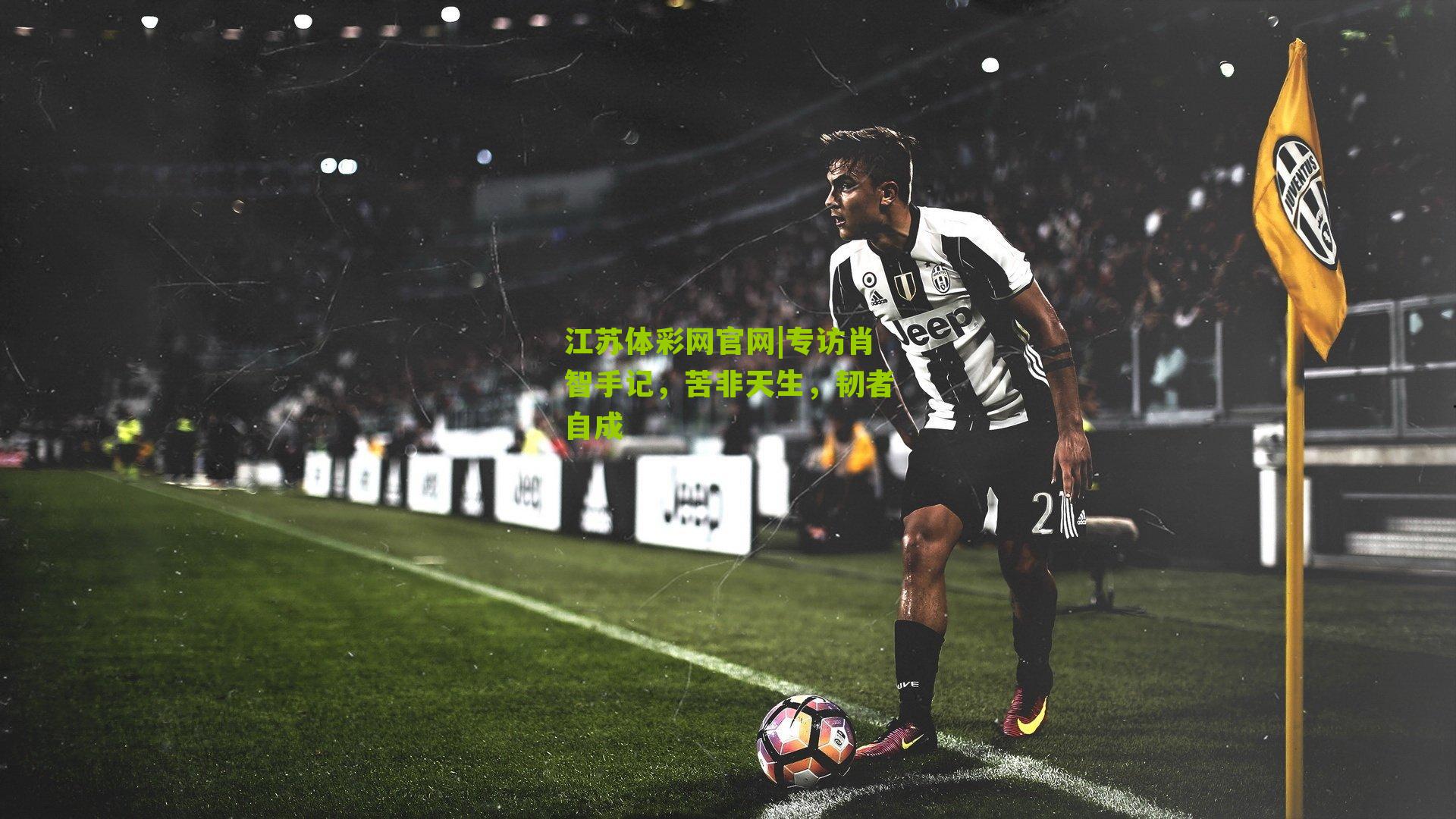 专访肖智手记，苦非天生，韧者自成